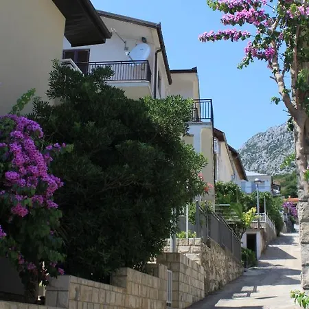 6902c * פודאצה